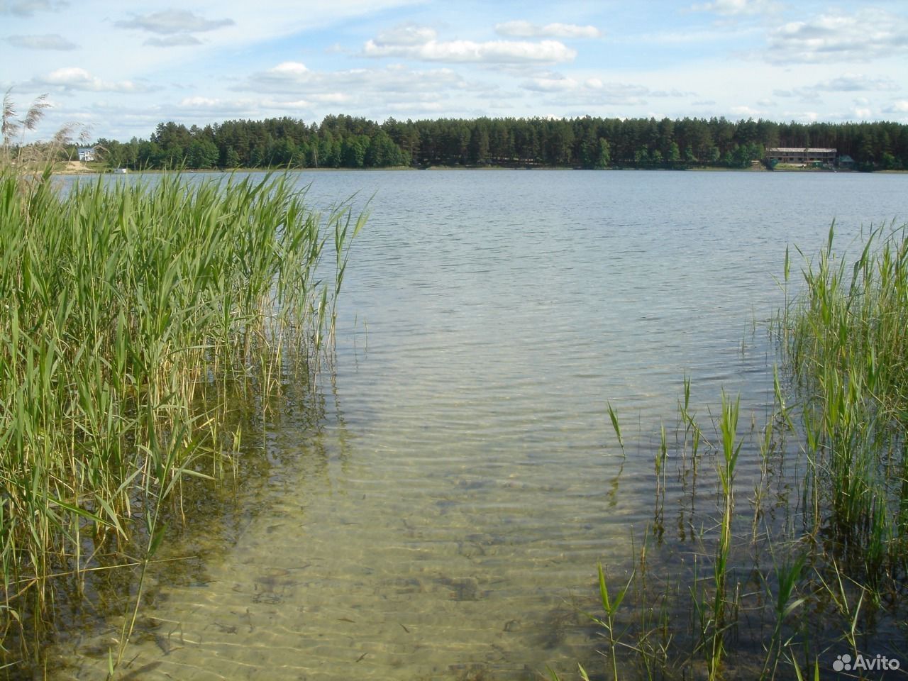 Озеро Озерье Клепиковский район
