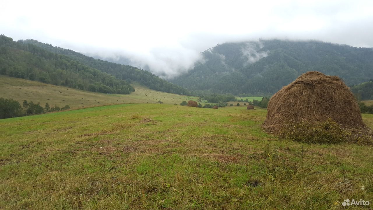 Купить Участок На Горном Алтае