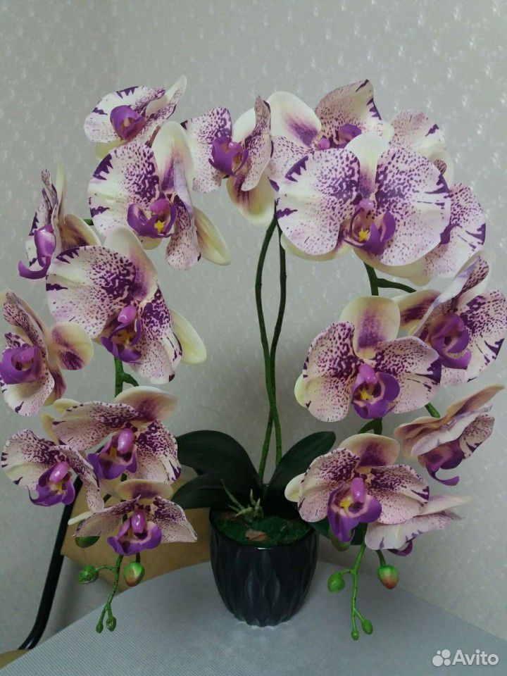 Имитация Орхидеи, латекс, эко-силикон купить на Зозу.ру - фотография № 5