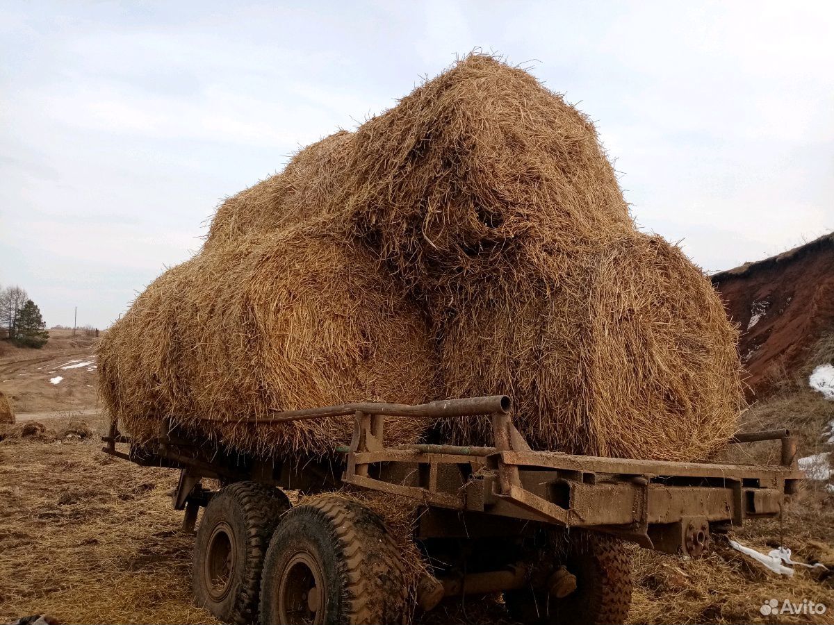 Салома пшеничная купить на Зозу.ру - фотография № 2
