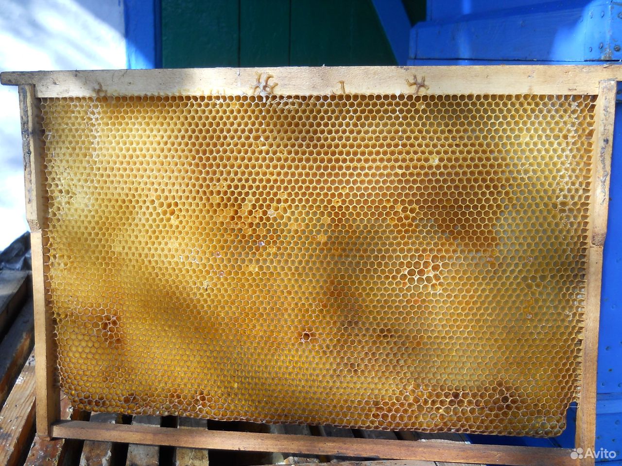 Сушь пчелиная купить на Зозу.ру - фотография № 1