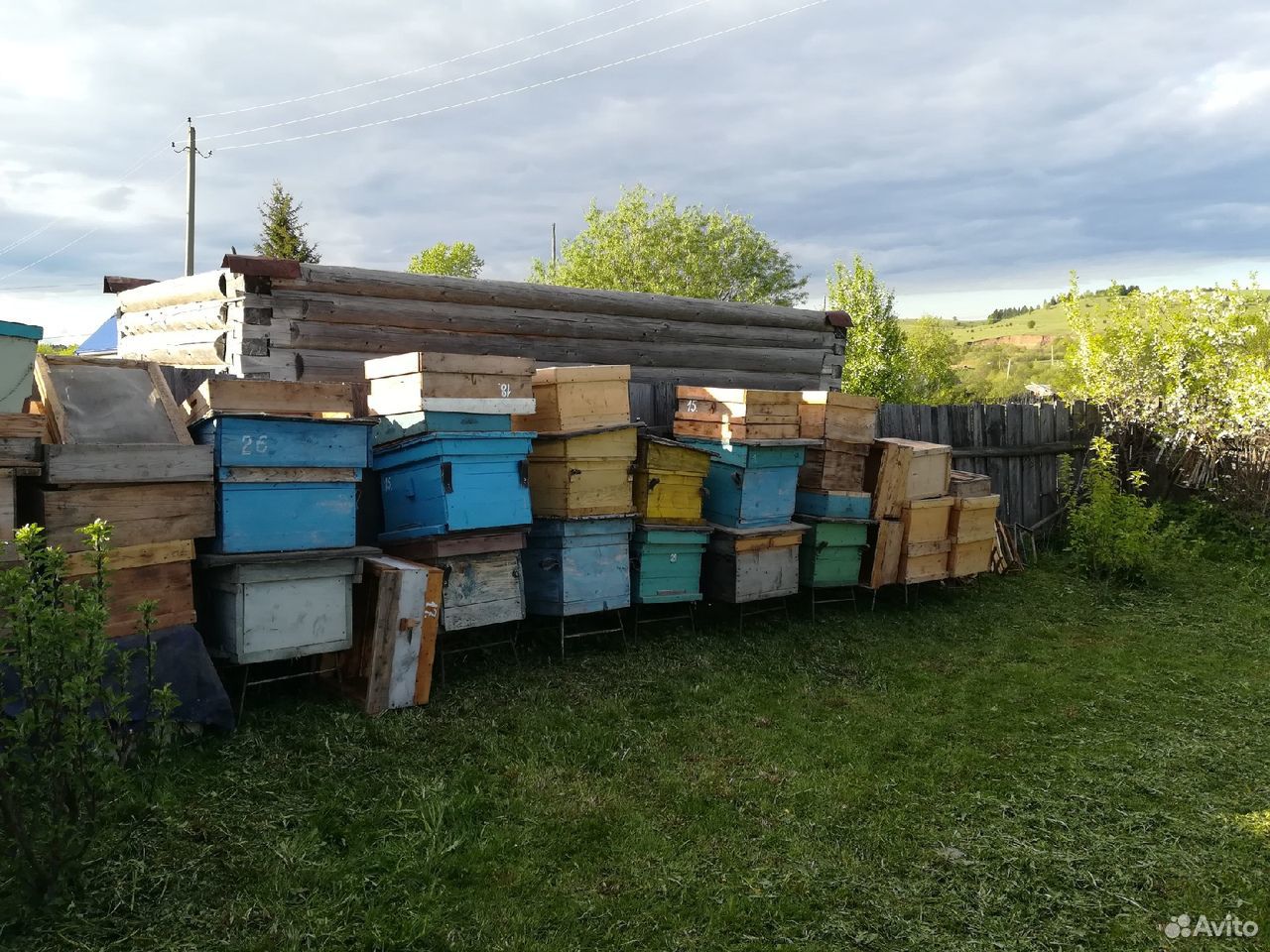 Инвентарь для пчеловода купить на Зозу.ру - фотография № 1
