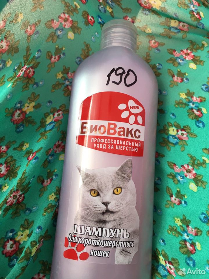 Шампунь для кошек купить на Зозу.ру - фотография № 1