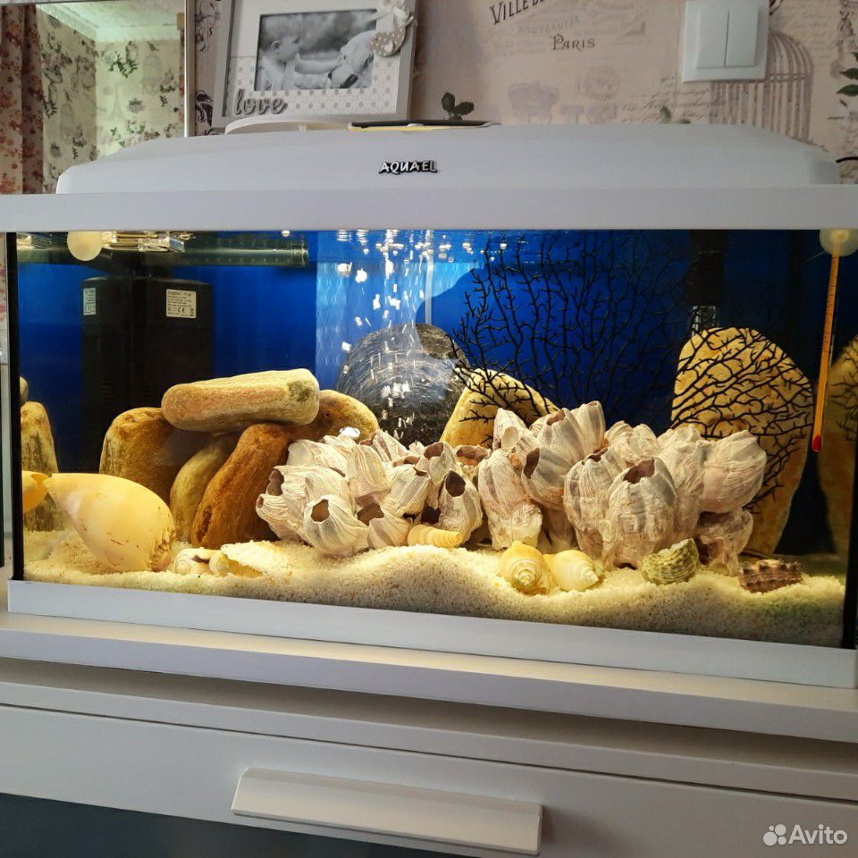 Белый аквариум фирмы Акваэль купить на Зозу.ру - фотография № 4