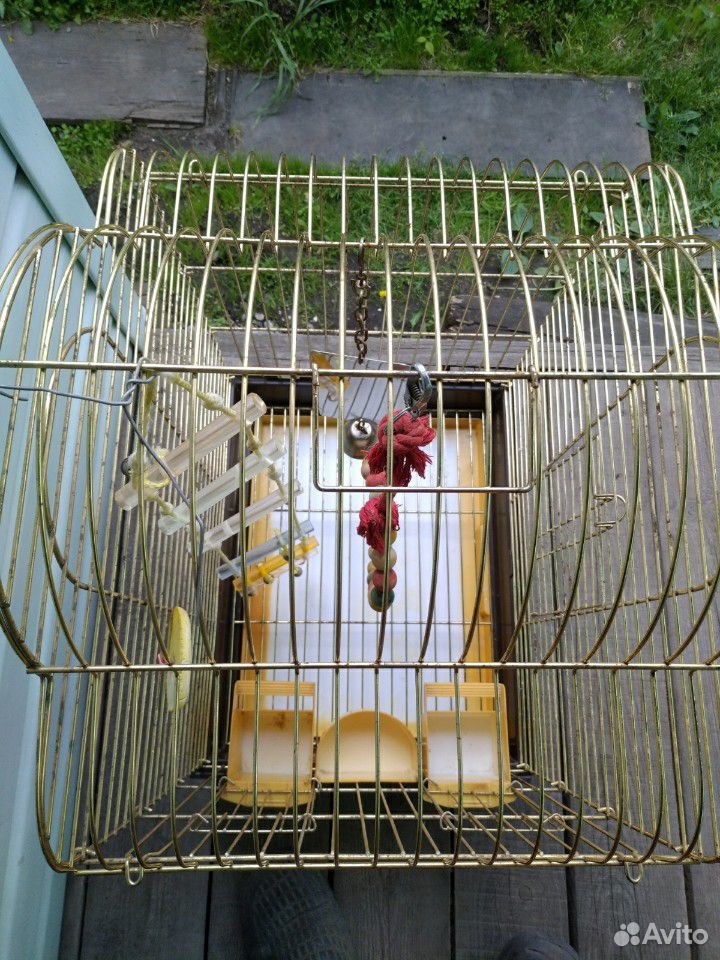 Клетка для попугая 40*50*70 купить на Зозу.ру - фотография № 3