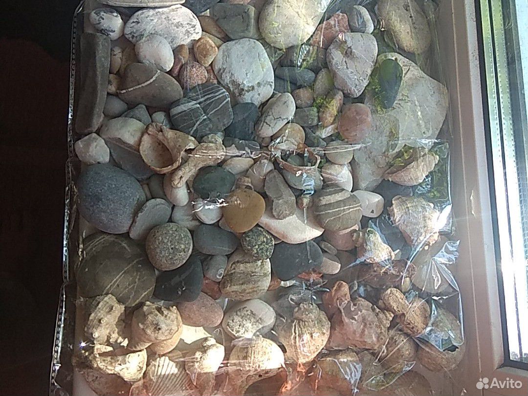Камни, ракушки для аквариума купить на Зозу.ру - фотография № 1