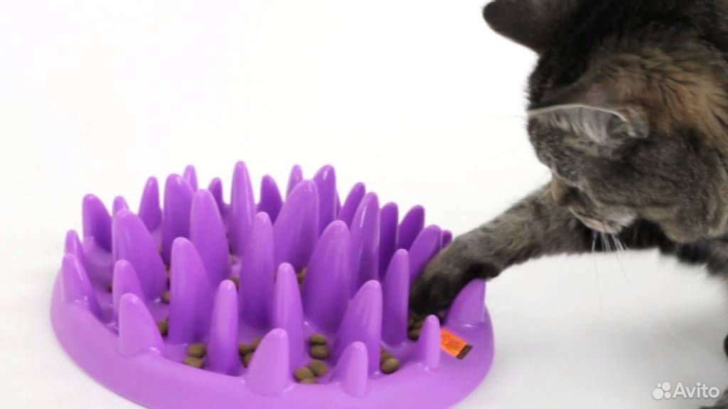 Интерактивная миска для кошек купить на Зозу.ру - фотография № 3