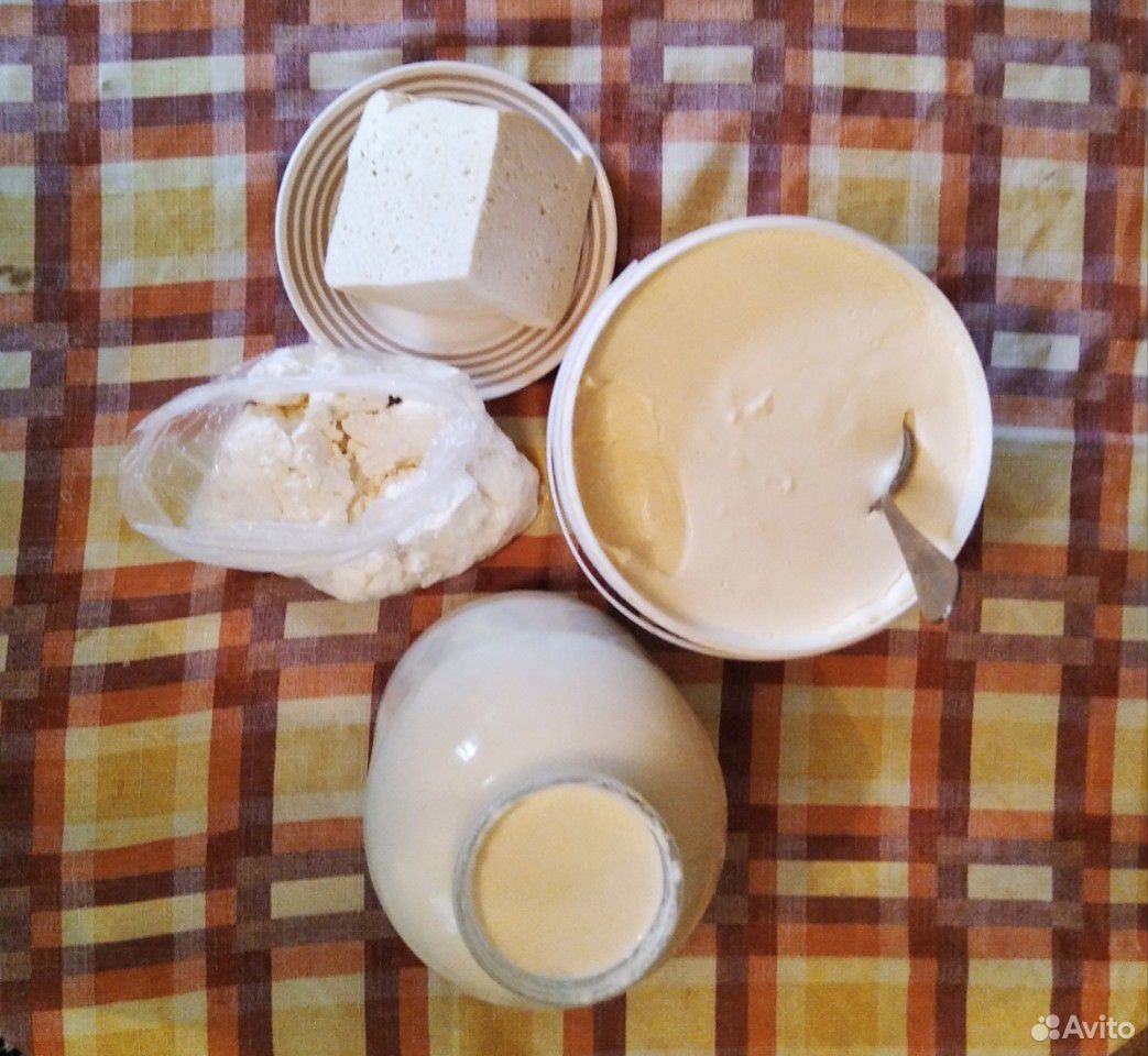Молоко,сметана,творог,сыр купить на Зозу.ру - фотография № 2