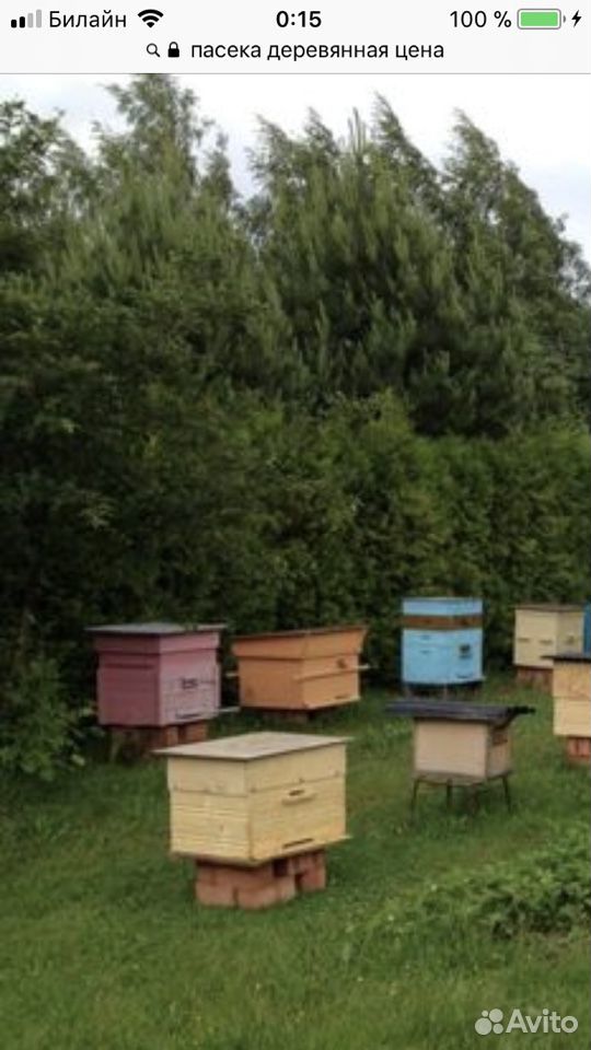 Продам улья для пчел, деревянные купить на Зозу.ру - фотография № 1
