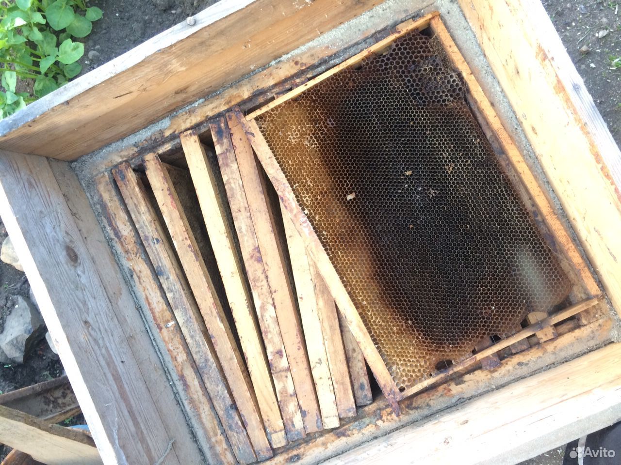 Продам 2 домика для пчёл с рамками купить на Зозу.ру - фотография № 3