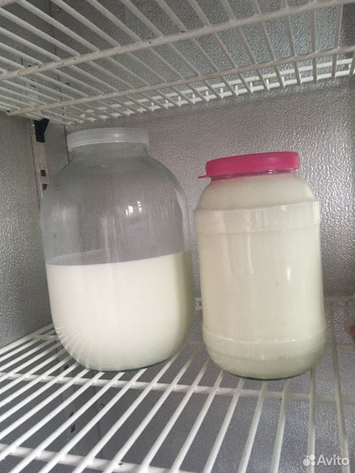Молоко козье без запаха купить на Зозу.ру - фотография № 1