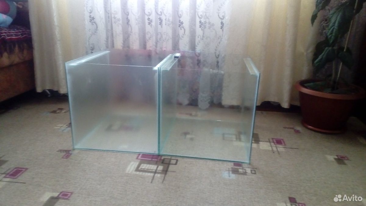 Склейка аквариумов купить на Зозу.ру - фотография № 6