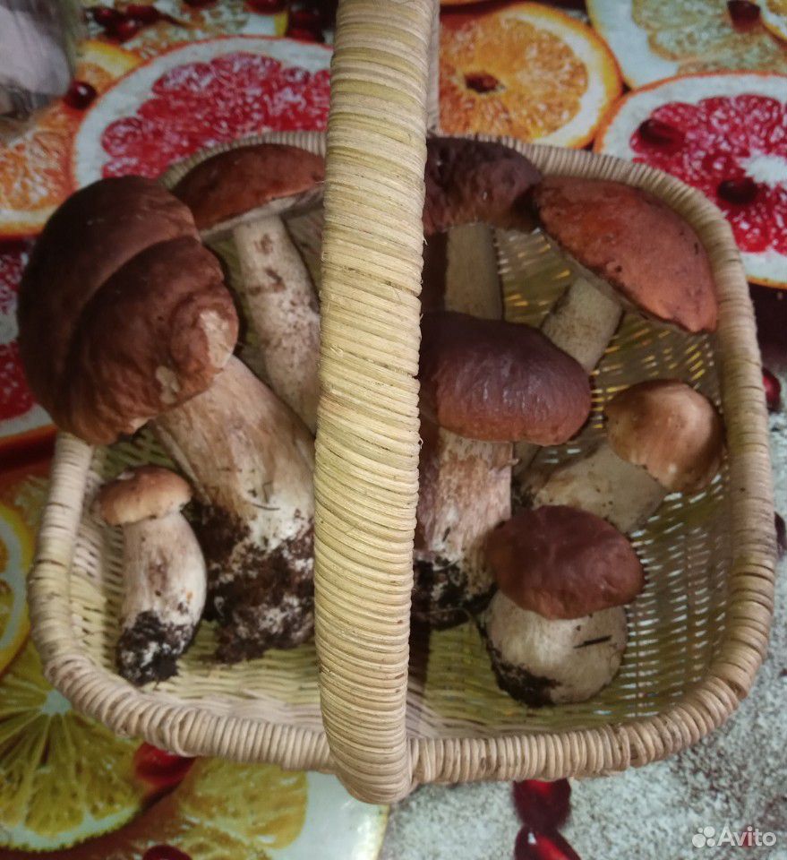 Белые грибы свежие купить на Зозу.ру - фотография № 2