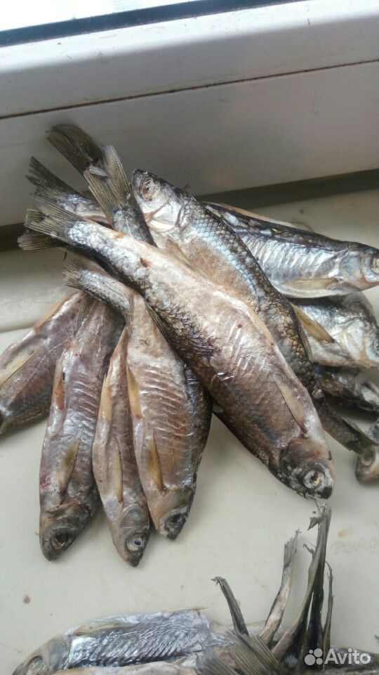 Вяленая рыбка Плотва,салака,окунь купить на Зозу.ру - фотография № 9