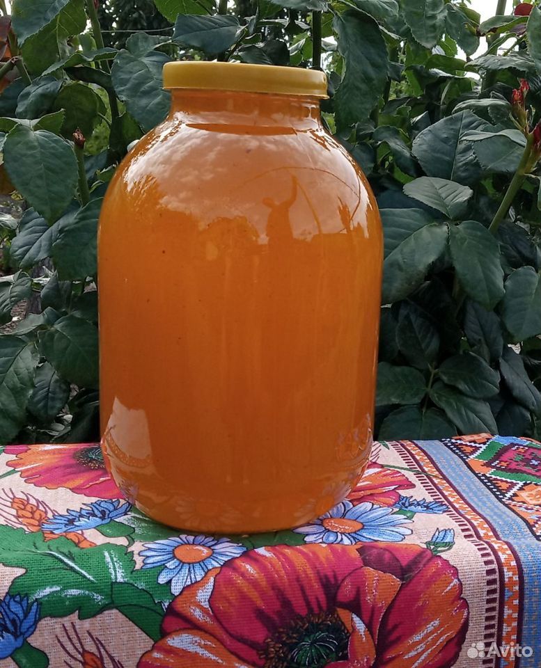 Мёд подсолнечный купить на Зозу.ру - фотография № 1