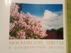 Московские цветы и ландшафтный дизайн объявление продам