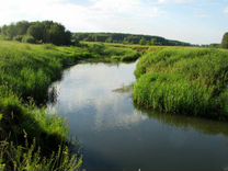 Село Петровское Ивановской области