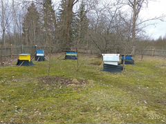 Пчёлы Пчелосемьи Пчелопакеты Пчёлы с домикам