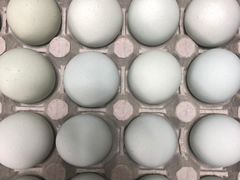 Инкубационное яйцо «ухейилюй»