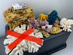 Мертвые натуральные кораллы