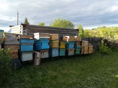 Инвентарь для пчеловода