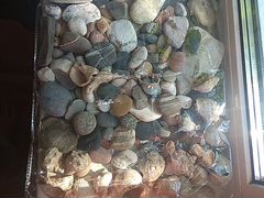 Камни, ракушки для аквариума
