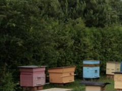 Продам улья для пчел, деревянные