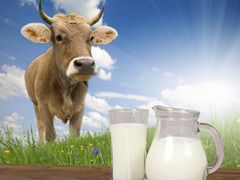 Молоко коровье и козье