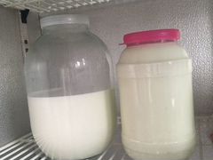 Молоко козье без запаха