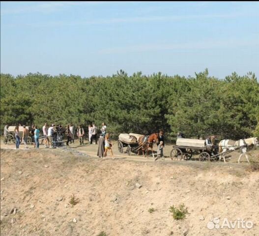 Телеги, фаэтон