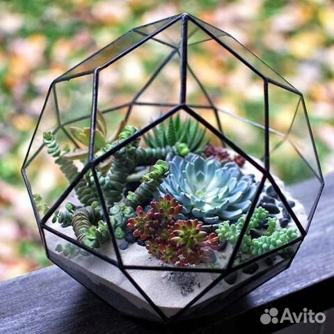 Флорариум. Флорариумы с суккулентами в спб и ло