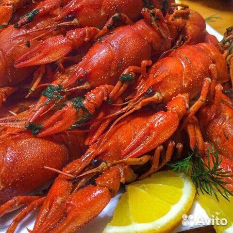 Раки живые (В наличии)