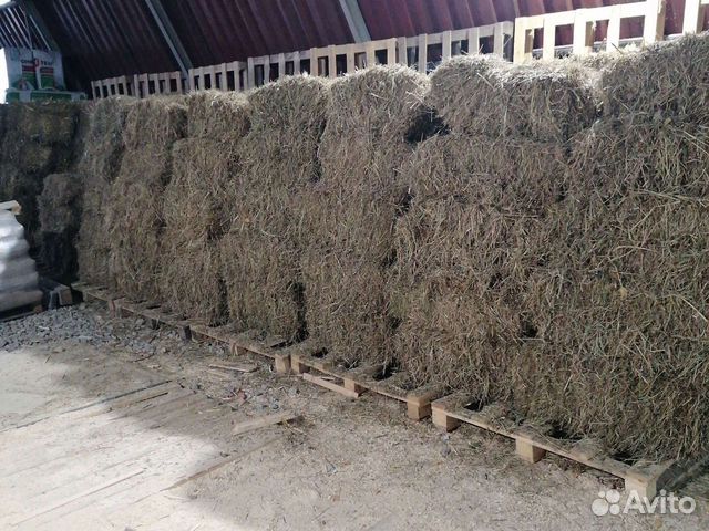 Солома и сено в брикетах