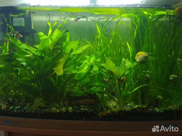 Украшение для аквариума