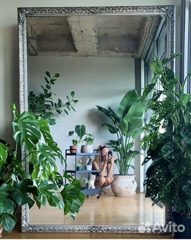 Экзотические растения