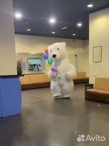 Поздравление мишкой аэромедведь