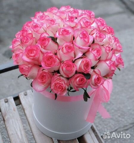 Роза Джумилия в коробке Доставка цветов