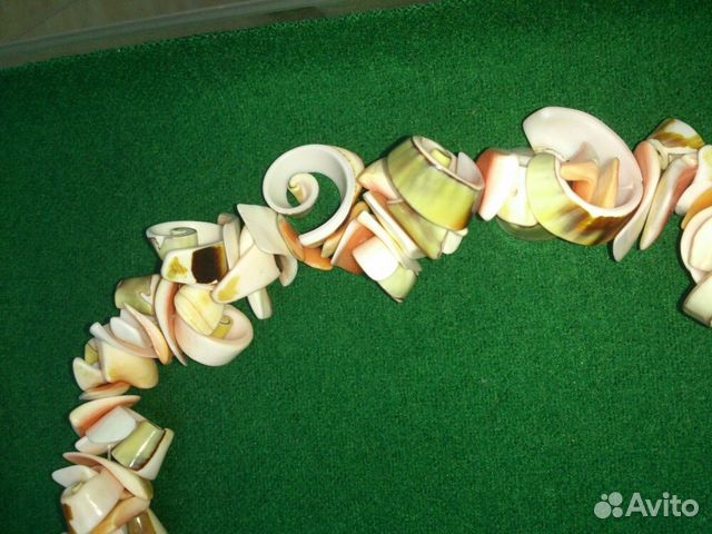 Бусы и браслеты из ракушек Бусы и браслеты из ракушек