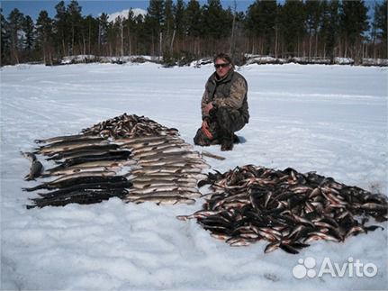 рыбалка fishhungry рыбалка fishhungry
