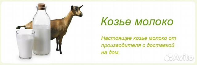 Фото козьего молока. Козье молоко сдать. Коза молоко. Фото козьего молока. Козье молоко сдать.