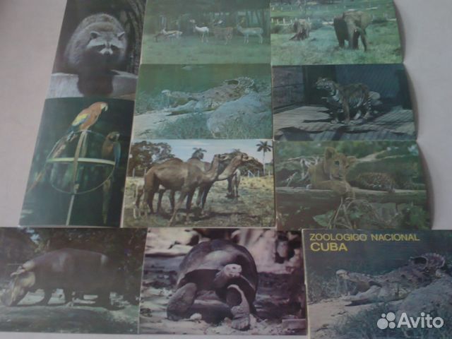Открытки-Национал. Зоопарк Куба(комплект)