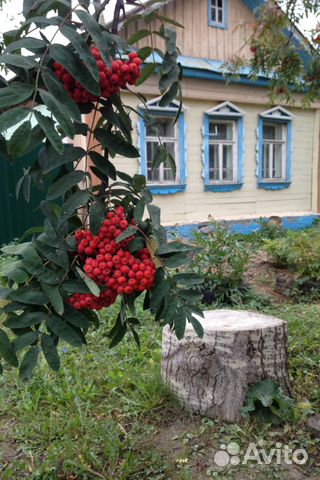 Дача 40 м² на участке 20 сот.