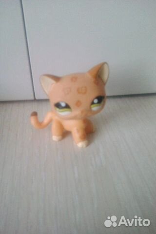 Петшоп. LPS Петшоп. LPS