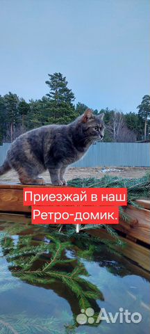 

1-к. дом, 26 м²