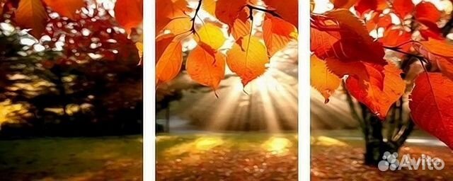 Картины трипхи по номерам