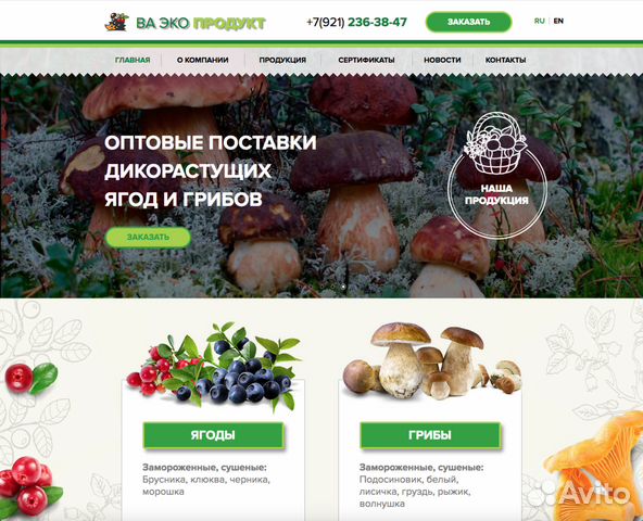Создание и продвижение сайтов в Ульяновске Создание и продвижение сайтов в Ульяновске