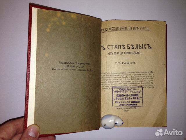 Книга, Раковский Г.Н. В стане белых (От Орла до Но