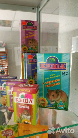 Хомяки сирийские, джунгарские, кролики купить на Зозу.ру - фотография № 4