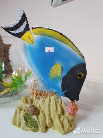 Рыбка "Дори" для аквариума купить на Зозу.ру - фотография № 1