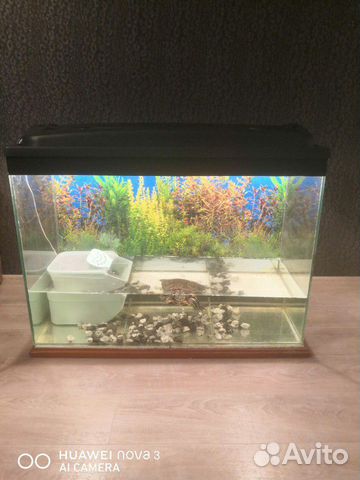 Продам аквариум (самовывоз) купить на Зозу.ру - фотография № 1